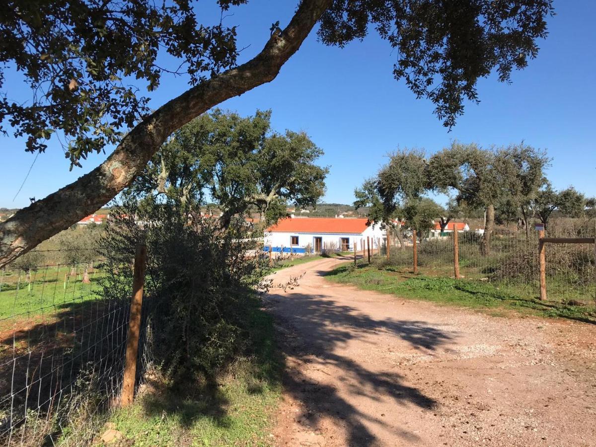 Herdade Da Maridona - Agroturismo Estremoz Eksteriør billede